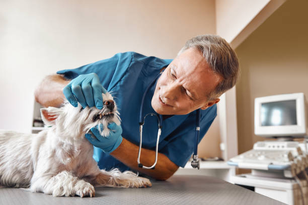 Best Weekend Emergency Dentist in Pikeville, TN